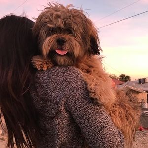 Meet your Posher, Andrea